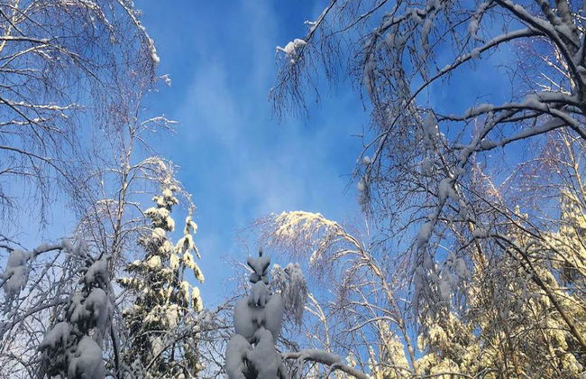 Archipelago Nature Excursion - Half-Day Tour - Photo 5