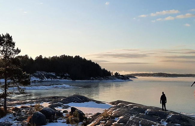 Visit the Liesjärvi National Park - Small Group Tour - Photo 3