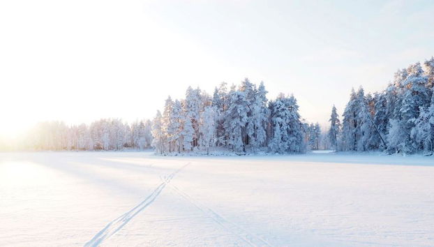 Archipelago Nature Excursion - Half-Day Tour - Photo 4