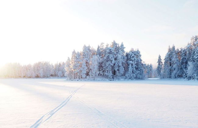 Archipelago Nature Excursion - Half-Day Tour - Photo 4