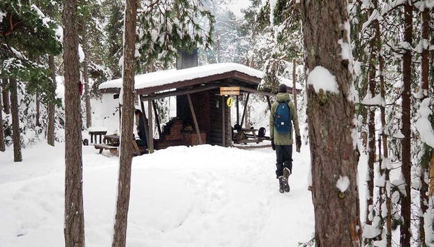 Visita al Parco Nazionale di Liesjärvi - Tour per piccoli gruppi - Foto 5