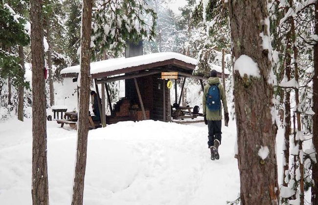 Visit the Liesjärvi National Park - Small Group Tour - Photo 5