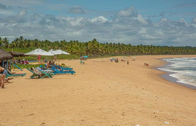 Excursão à praia de Guaiú - Foto 3