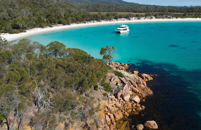 Crucero con comida por la península de Freycinet y Wineglass Bay - Foto 6