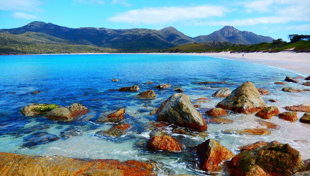 Déjeuner-croisière dans la péninsule de Freycinet et Wineglass Bay - Photo 5