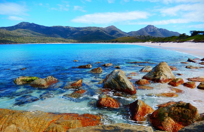 Paseo en barco por la península de Freycinet y Wineglass Bay - Foto 6