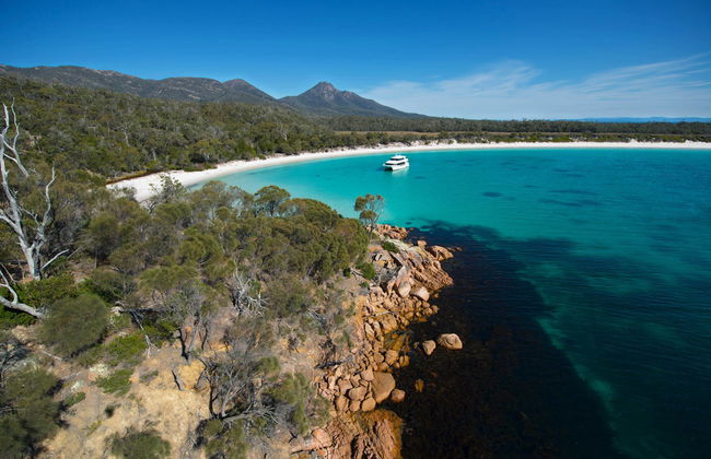 Paseo en barco por la península de Freycinet y Wineglass Bay - Foto 5