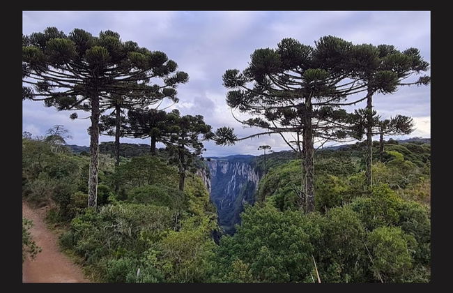 Excursión al cañón de Itaimbezinho - Foto 5