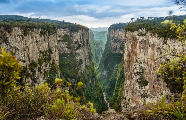 Excursión al cañón de Itaimbezinho - Foto 2