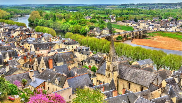 Tour privado en moto con sidecar por Chinon - Foto 5