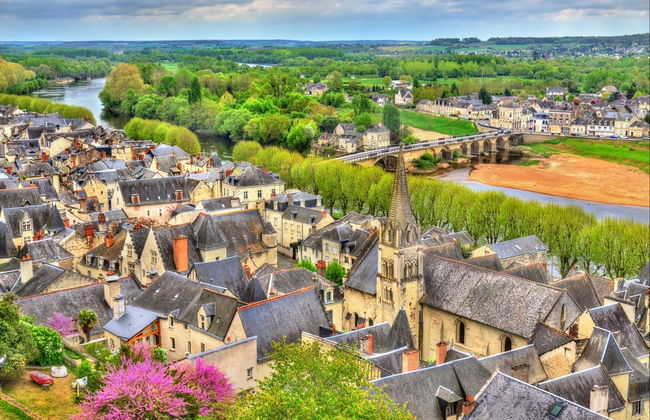 Tour privato di Chinon in sidecar - Foto 5