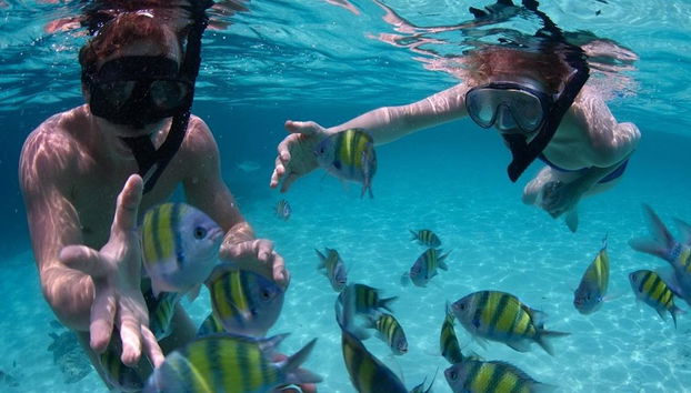 Koh Tao et Koh Nangyuan - Excursion d'une journée - Photo 3