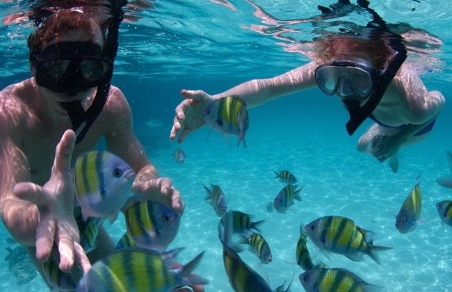 Koh Tao e Koh Nangyuan - Tour di un giorno intero - Foto 3