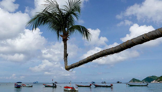 Koh Tao et Koh Nangyuan - Excursion d'une journée - Photo 5