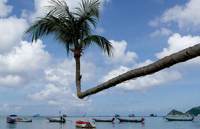 Koh Tao e Koh Nangyuan - Tour di un giorno intero - Foto 5