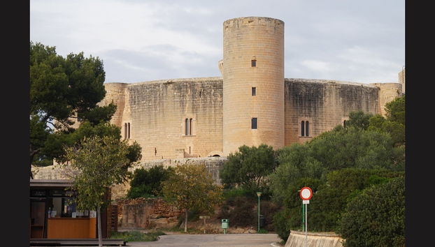 Tour por Palma para cruceros - Foto 2