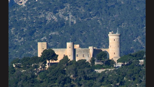 Tour por Palma para cruceros - Foto 4