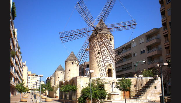 Tour por Palma para cruceros - Foto 5