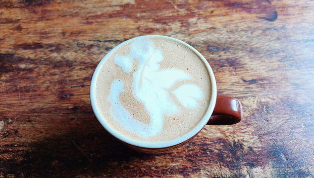 Tour del café por Salento