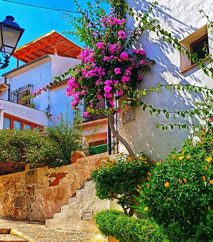 Foto - Free tour di Altea