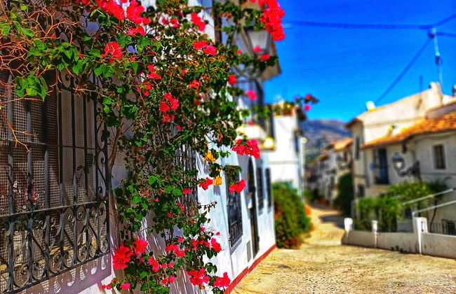 Free tour por Altea - Foto 3