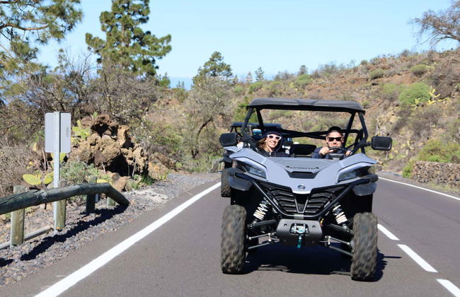 Tour en buggy por el Teide - Foto 6