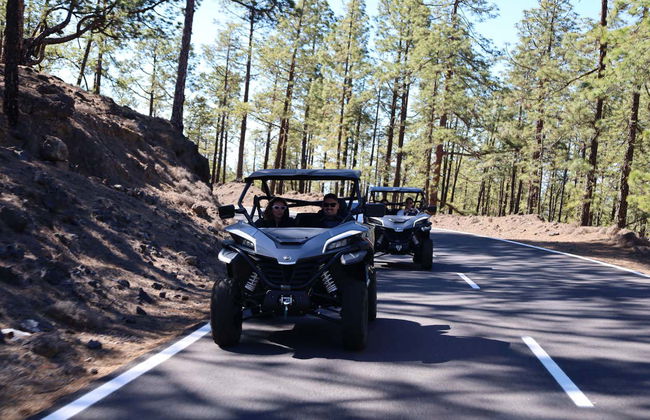 Balade en buggy autour du Teide - Photo 2