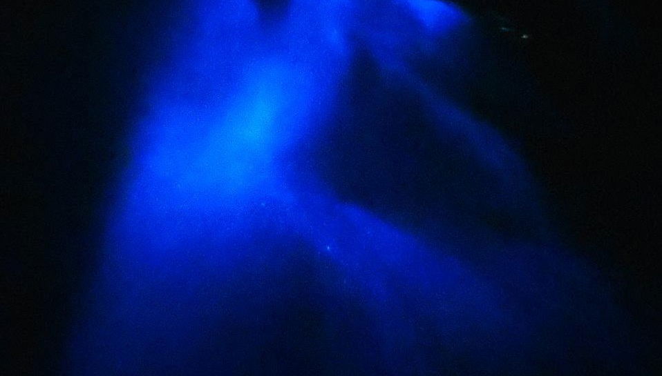 Playa Muertos Bioluminescence Tour - Photo 1