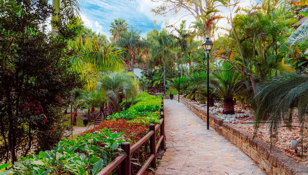 Visite guidée du château de Colomares - Photo 4