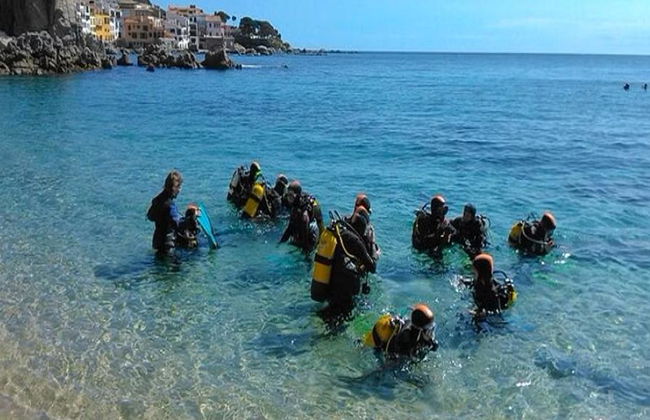 Scuba Diving Adventure in Costa Brava - Small Group Tour - Photo 4