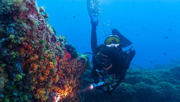 Scuba Diving Adventure in Costa Brava - Small Group Tour - Foto 2