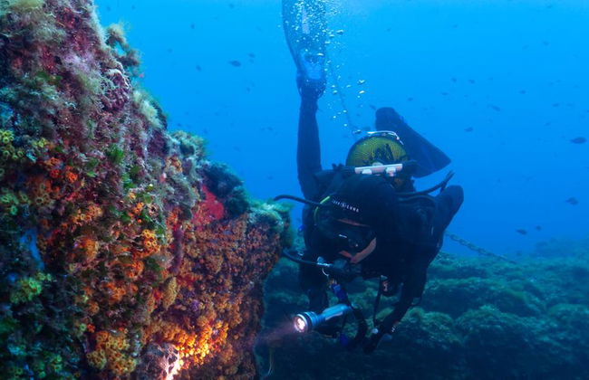 Scuba Diving Adventure in Costa Brava - Small Group Tour - Photo 2