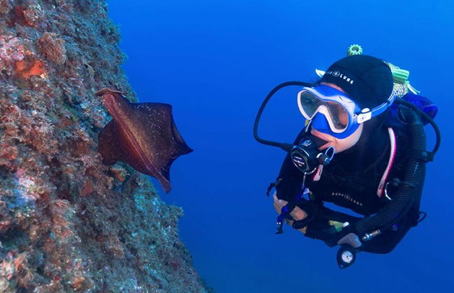 Scuba Diving Adventure in Costa Brava - Small Group Tour - Photo 1