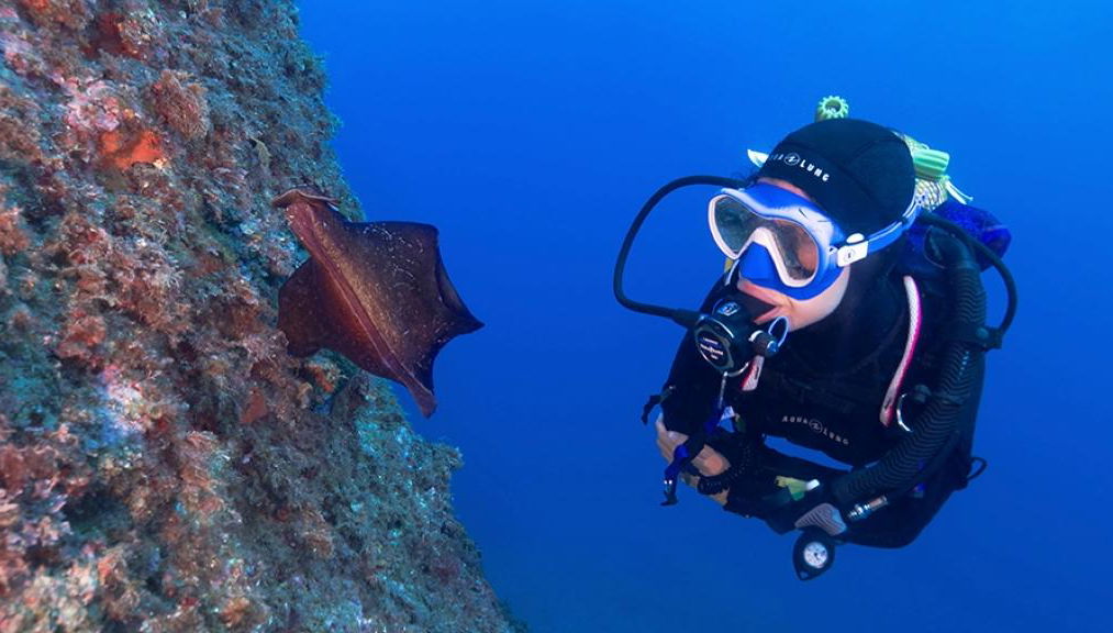 Scuba Diving Adventure in Costa Brava - Small Group Tour - Foto 1