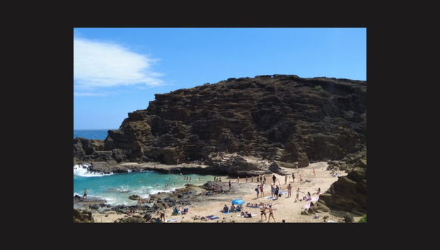 Visite privée dans Oahu - Photo 4