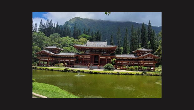 Visite privée dans Oahu - Photo 5