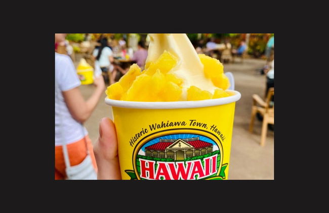 Visite privée dans Oahu - Photo 6