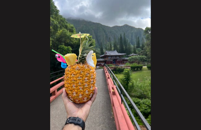 Visite privée dans Oahu - Photo 7