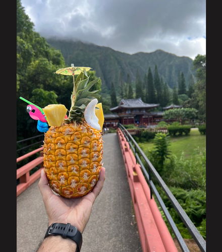 Foto - Tour privado por Oahu com guia em português
