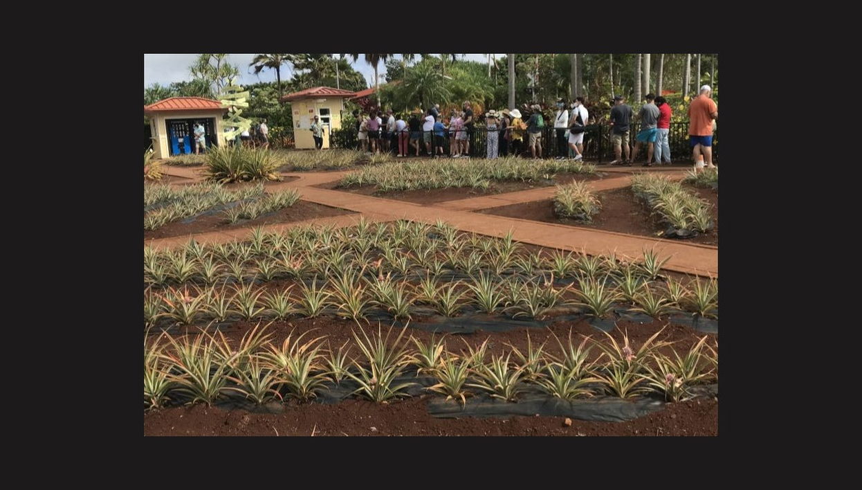 Visite privée dans Oahu - Photo 1