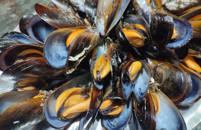 Paseo en barco por la ría + Degustación de mejillones - Foto 5