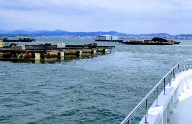 Paseo en barco por la ría + Degustación de mejillones - Foto 6