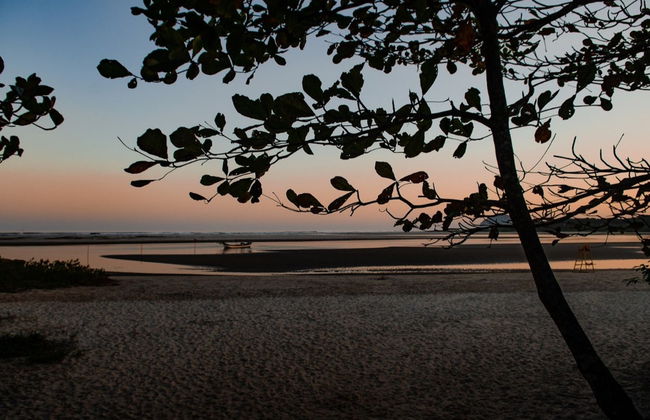 Tour por la playa de Itaguaré - Foto 3