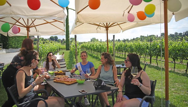 Lazise Vineyards E-Bike Tour and Wine Tasting - Foto 5