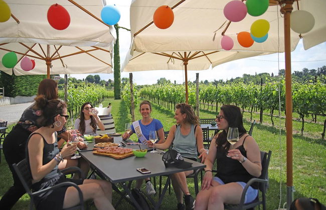 Lazise Vineyards E-Bike Tour and Wine Tasting - Photo 6