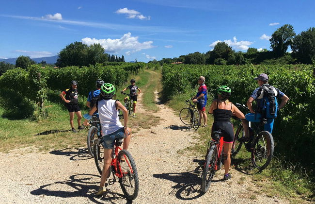 Lazise Vineyards E-Bike Tour and Wine Tasting - Photo 1
