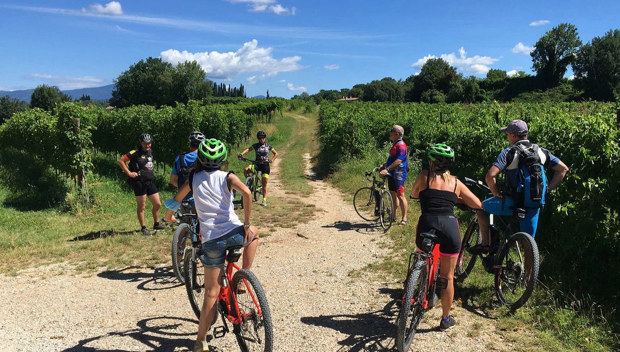 Lazise Vineyards E-Bike Tour and Wine Tasting - Photo 1