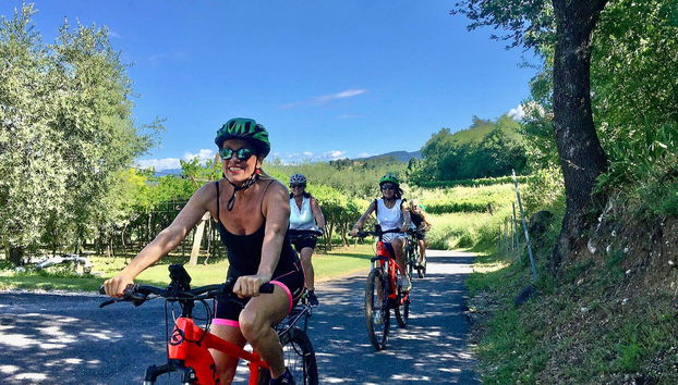 Lazise Vineyards E-Bike Tour and Wine Tasting - Photo 5