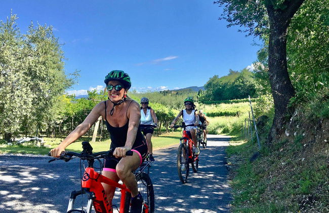 Lazise Vineyards E-Bike Tour and Wine Tasting - Photo 5