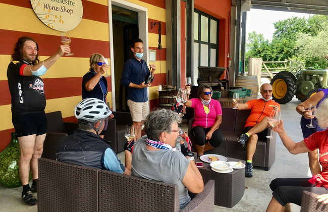 Lazise Vineyards E-Bike Tour and Wine Tasting - Photo 3